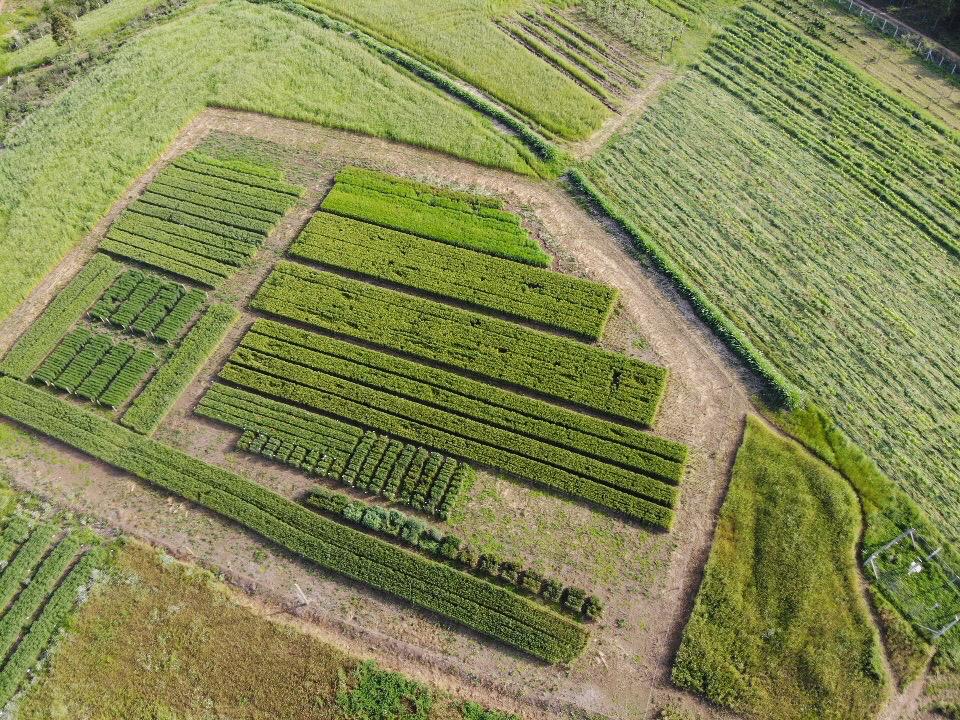 Entrevista com Samuel Luiz Fiorezze - Coordenador do curso de Agronomia na UFSC