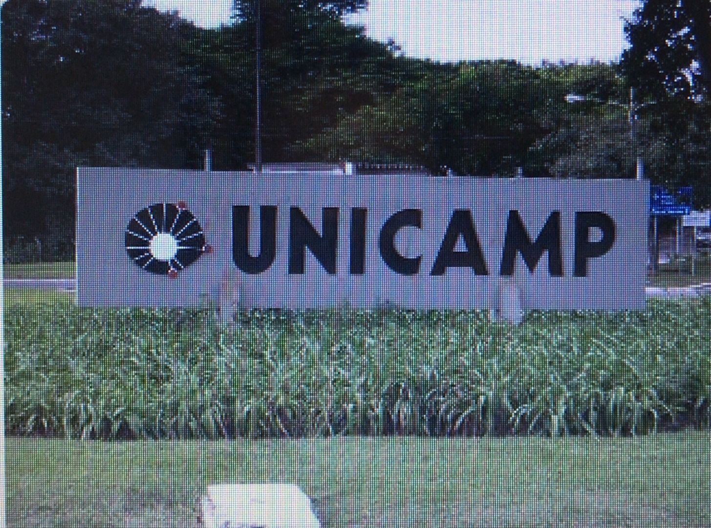 CURSOS GRATUITOS -  ON LINE  - UNICAMP